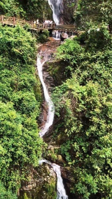 竞技宝如何